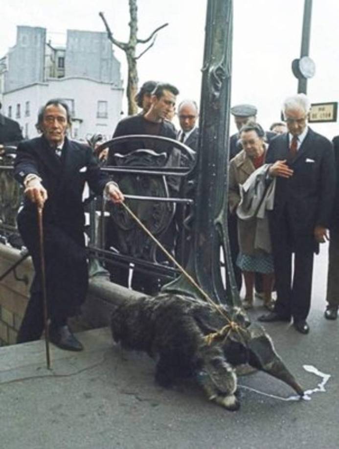 Salvador Dalí paseando a su oso hormiguero en 1969.