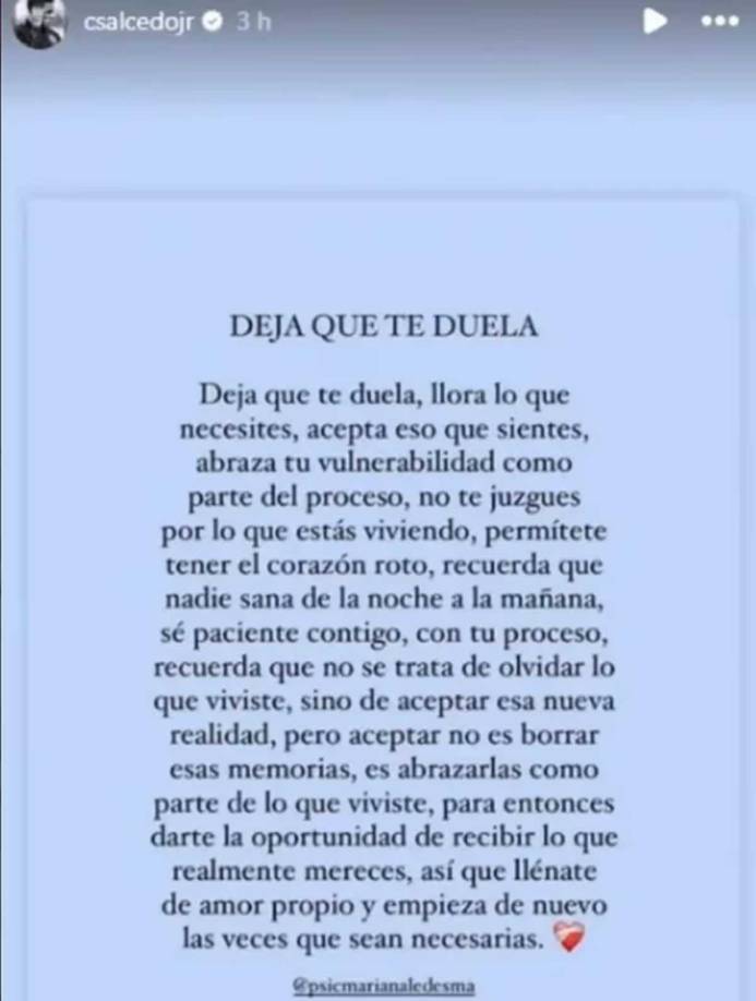 Carlos Salcedo se pronunció al respecto por primera vez y pese a los señalamientos de sus familiares, expresó su dolor y el proceso de sanación que atraviesa por la perdida de su hermana Paola.