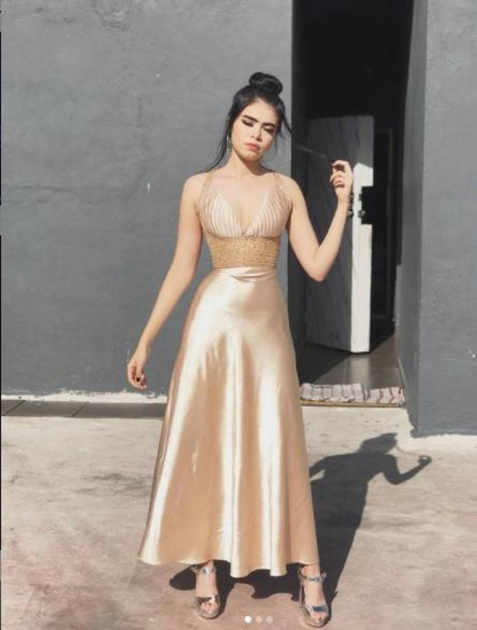 Irlanda es originaria del estado de Sonora, México, desde donde viajó a la ciudad de México para poder cumplir su sueño de ser cantante.