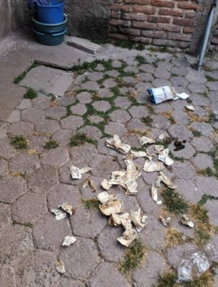 Los billetes hallados por la Policía son de diferentes denominaciones y estaban en bolsas de forma ordenada y sin bolsa estaban arrugados.