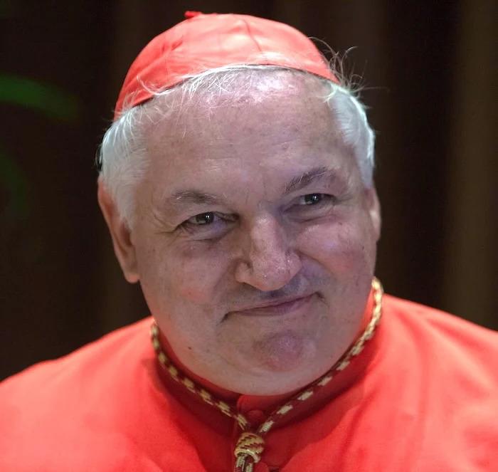 Aveline, el cardenal que podría continuar el legado de Francisco