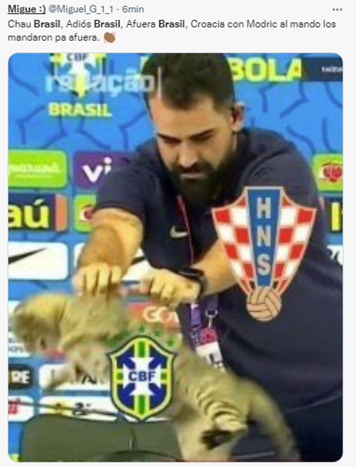 Los memes destrozan a Brasil tras eliminación: “La maldición del gato”