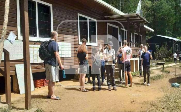 Durante los 18 años que investigadores de Operación Wallacea han estudiado el parque se han documentado 648 especies de fauna silvestre, según registros de observación y Plan de Manejo Parque Nacional Cusuco.