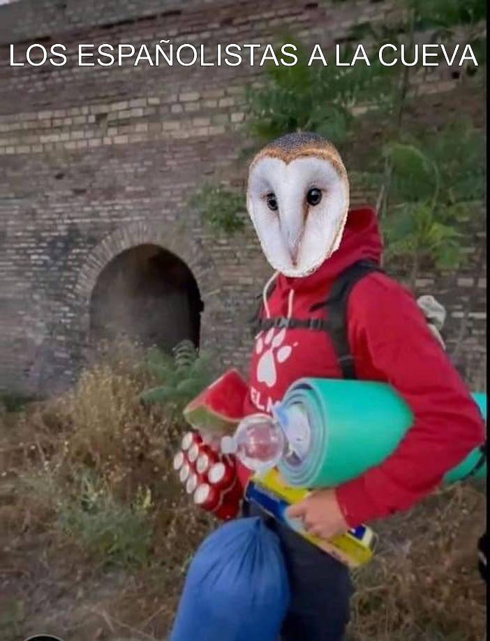 Memes: No hubo remontada del Real España ante Motagua y le llueven las burlas