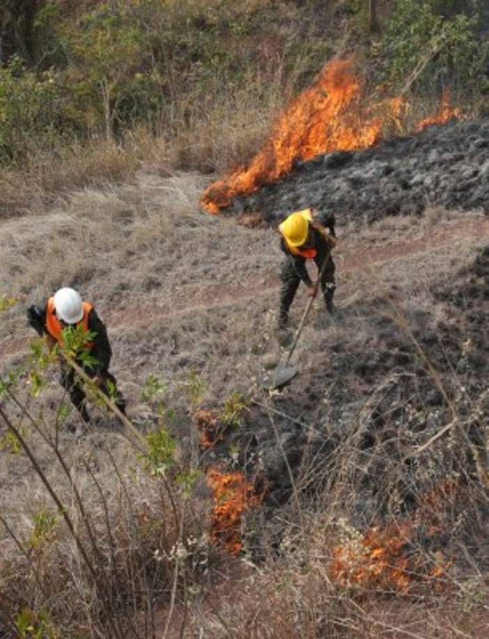 Las zonas afectadas incluyen alrederores de la residencial Los Tres Hermanos, Villa de San Antonio, El Mirador, resaurante La Cumbre y la Casa del embajador de Japón.