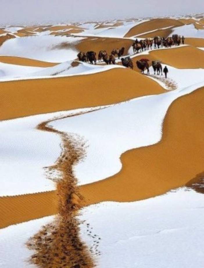 Es la tercera vez que este fenómeno ocurre en los últimos 40 años.