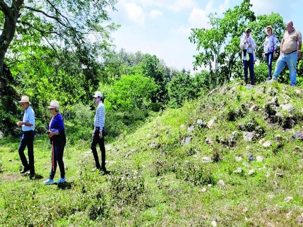 En Los Metates también se han encontrado collares; una muestra de ellos es una réplica exhibida en el Museo de Antropología e Historia de San Pedro Sula.