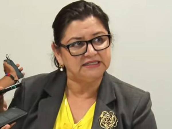 <b>Ministra de Salud, Carla Paredes. Imagen de archivo. </b>