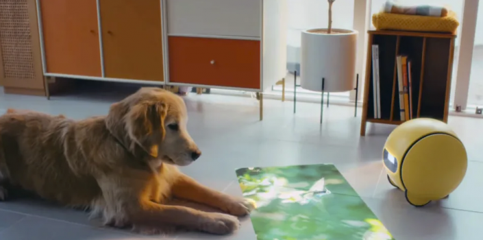 Ballie es un aliado a la hora de vigilar a las mascotas mientras no estamos en casa.