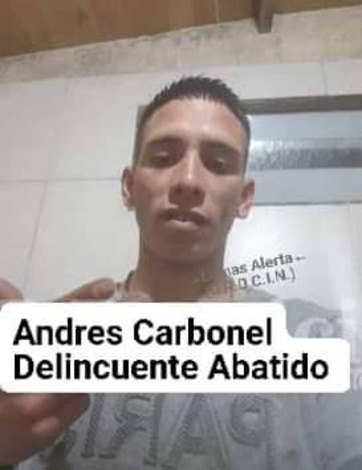 Actualmente, Mallea enfrenta cargos por homicidio agravado, ya que el hecho fue perpetrado por un miembro de las fuerzas de seguridad, abusando de su función y utilizando un arma de fuego, lo que demuestra que incumplió con sus deberes como funcionario público.