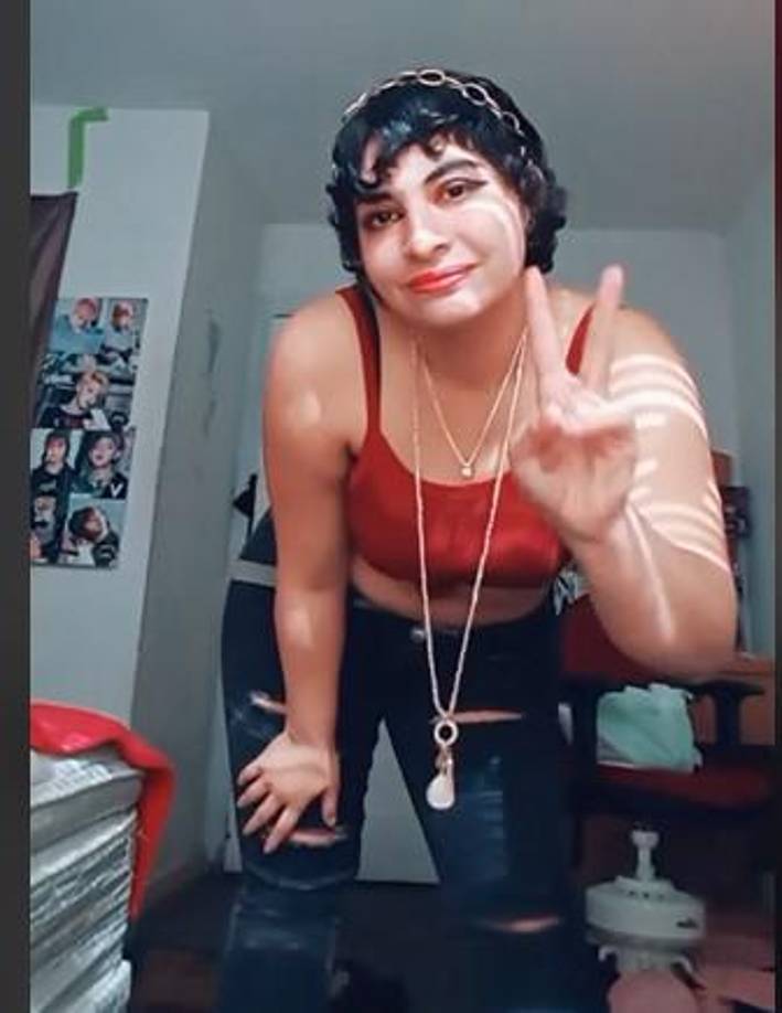 Destacó también “cuestiones sistémicas relacionadas con la violencia doméstica, la seguridad comunitaria y la capacidad del sistema legal para proteger a las personas vulnerables”. 