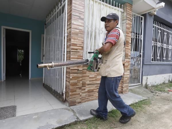 Con éxito se realizó el segundo megaoperativo de limpieza, educación, fumigación y aplicación de BTI, organizado por Diario LA PRENSA a través de su campaña “Todos contra el dengue”, en alianza con la Municipalidad de San Pedro Sula, la Región Metropolitana de Salud, Copeco, Sulambiente y empresas socialmente responsables que se han sumado a esta iniciativa.