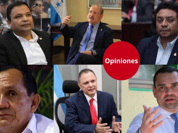 Opiniones vertidas por los diputados Jari Dixon(Libre), Hugo Noé Pino (Libre), Ramón Barrios (Libre), Samuel Madrid (Libre), Tomás Zambrano (Partido Nacional) y Tony García (vicecanciller).