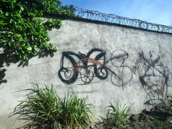 Son los que menos dinero ganan dentro de la organización. Disfrutan recibir atención, que tienen protección y pertenencia, que otros los respetan y les tienen miedo.