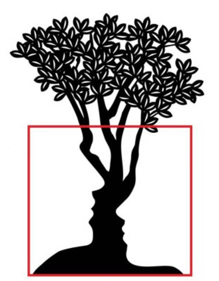 ¿Qué ves en esta imagen?<br/><br/>Si ves dos rostros: Sientes que tus problemas están más allá de tu control. Parecen cosas imposibles de lograr, sin embargo, pensando en ellos seriamente, son situaciones personales que sólo necesitan de un momento de determinación y valor para enfrentarlos. Problemas con tus padres, hijos, o con tu pareja; pero que, por una u otra cosa, has dejado pasar y lo que comenzó como una pequeña bola de nieve ahora parece una avalancha.