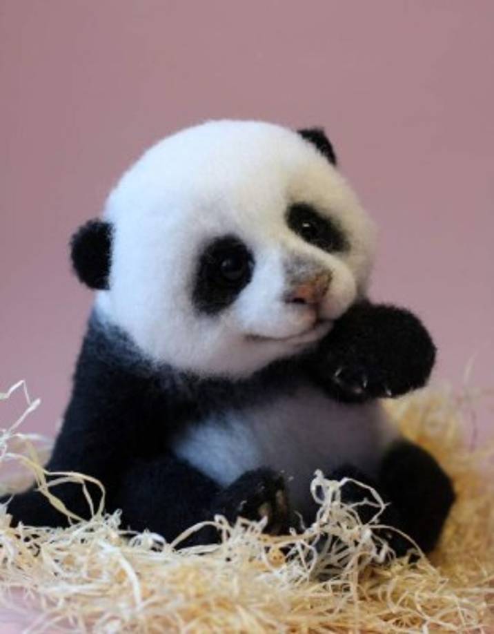 Sin comentarios, es un panda simplemente tierno.