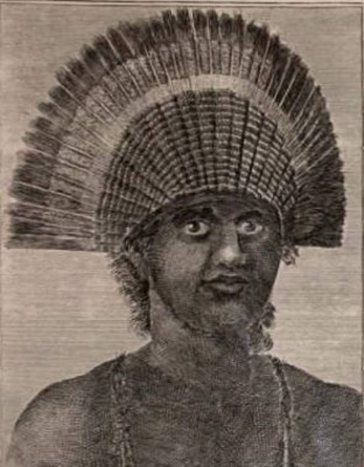 El pene de Fatefehi de Tonga fue el más activo de la historia<br/><br/>Se estima que el pene que más veces participó en relaciones sexuales, el que más trabajó (y probablemente el que más se divirtió, por qué no) fue el del rey Fatefehi de Tonga, quien habría desflorado a 37 800 mujeres entre los años 1770 y 1784, alrededor de siete por día.