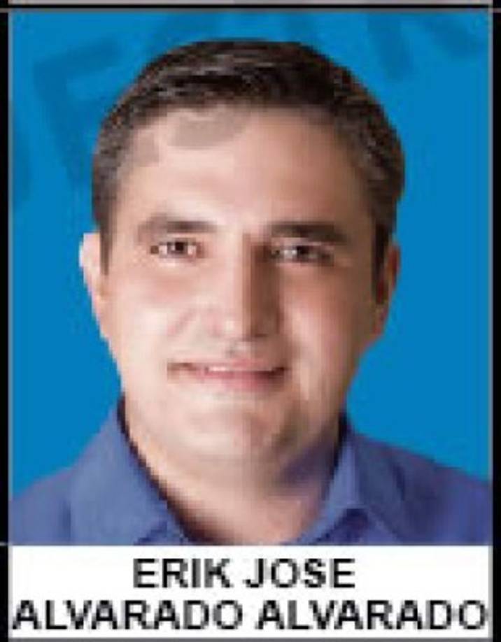 Erik Alvarado - Partido Nacional - 35,448 votos - Copán<br/>Estudió Administración de Empresas en la Universidad de San Pedro Sula. Nació en La Unión, Copán, y cursó la primaria y secundaria en el Instituto Episcopal El Buen Pastor en San Pedro Sula. Tiene 37 años de edad y está casado. Se convierte en diputado del Congreso Nacional por primera vez.
