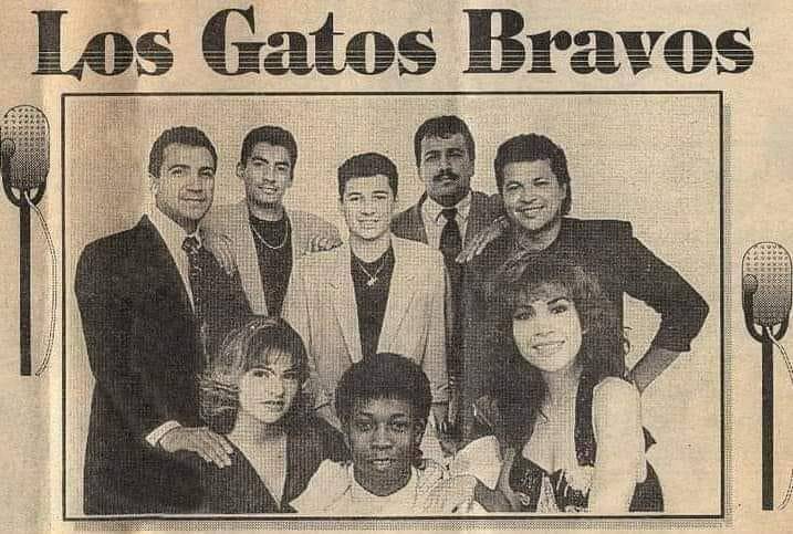 Los Gatos Bravos fue una agrupación musical hondureña que probó las mieles del éxito durante los años 90. 