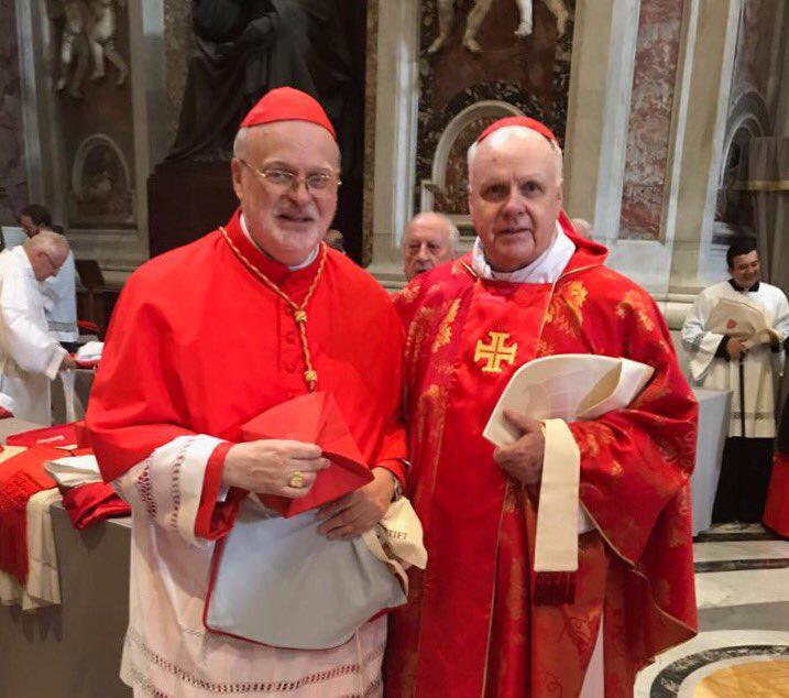 Anders Arborelius, el cardenal sueco que podría sorprender en el cónclave