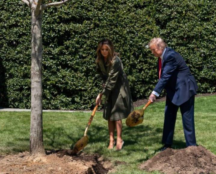 No fue hasta este miércoles que Melania reapareció junto a Trump para plantar un árbol en el jardín de la Casa Blanca para conmemorar el Día de la Tierra.