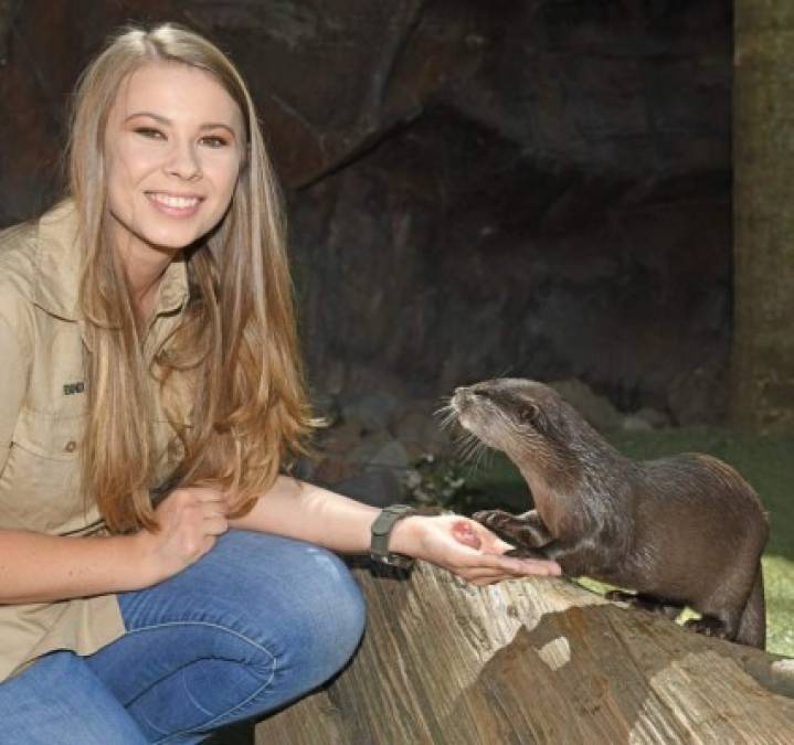 Irwin fue la presentadora de un documental infantil de 26 partes de la vida silvestre llamado Las aventuras de Bindi, una producción de la cadena de televisión Discovery Kids.<br/>​<br/>Su padre fue filmado en muchos de los primeros programas antes de su muerte en septiembre de 2006, cuando la producción fue suspendida temporalmente.<br/>​<br/>La serie se estrenó en junio de 2007 en Discovery Kids.