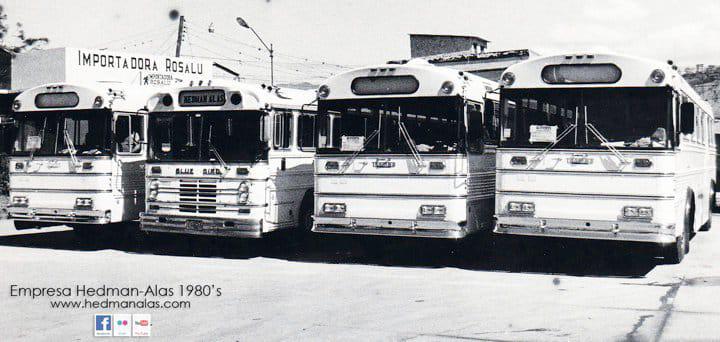 La verdadera razón del cierre de Hedman Alas