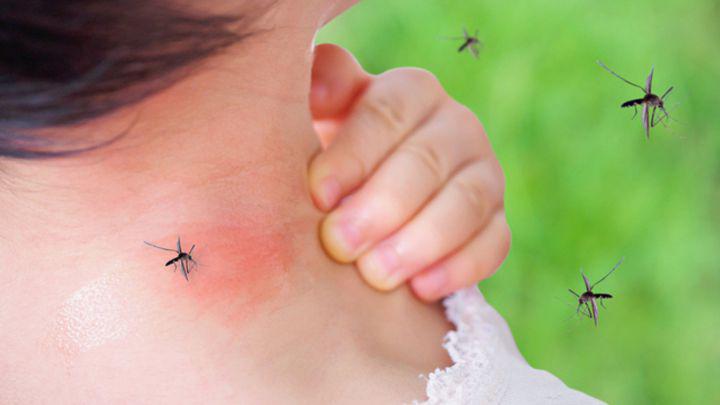 OPS alerta de récord de dengue en América Latina propiciado por cambio climático