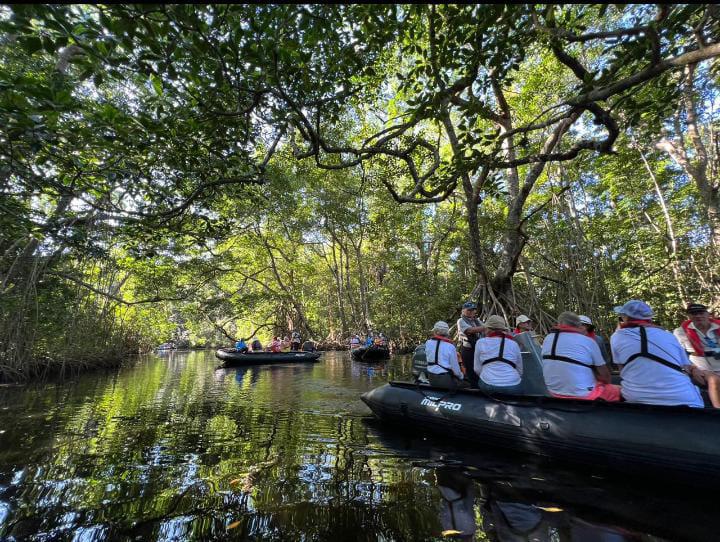 Rafting, senderismo y bosque, la propuesta del destino Atlántida