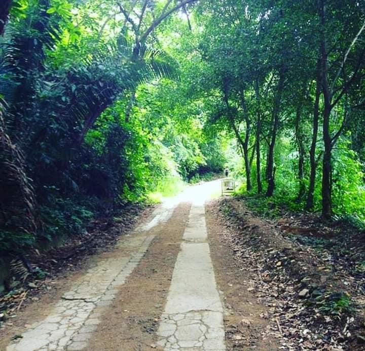 Sendero de El Merendón.