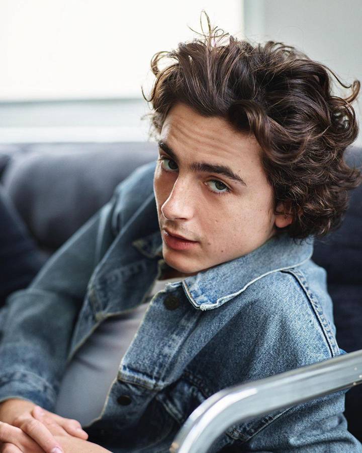 Timothée Chalamet es considerado el más guapo del mundo