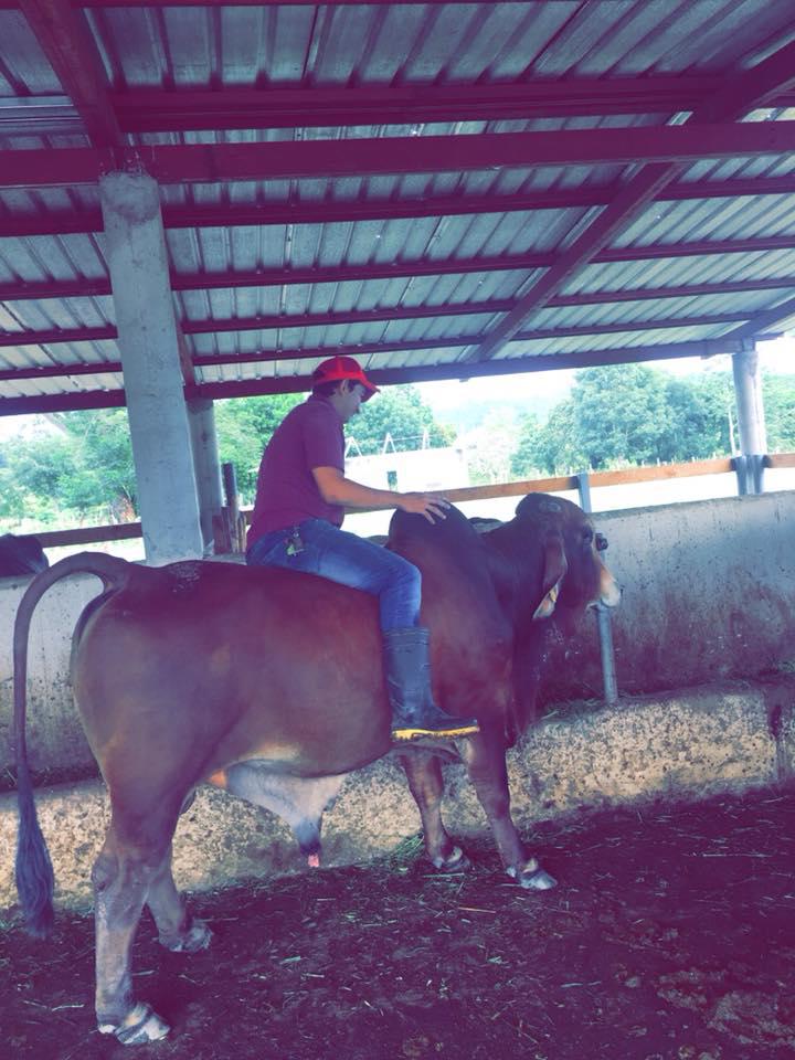 Sicarios lo esperaron frente a su casa: el crimen del juez Kevin Martínez