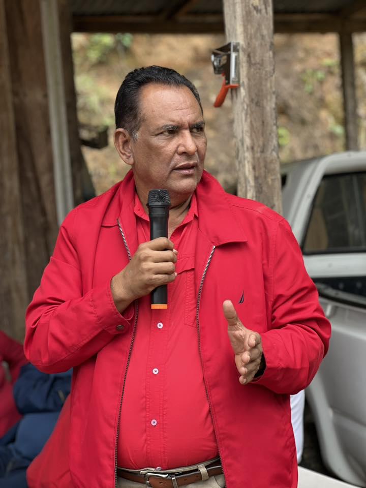 Grandes caudillos que están quedando afuera del Congreso Nacional