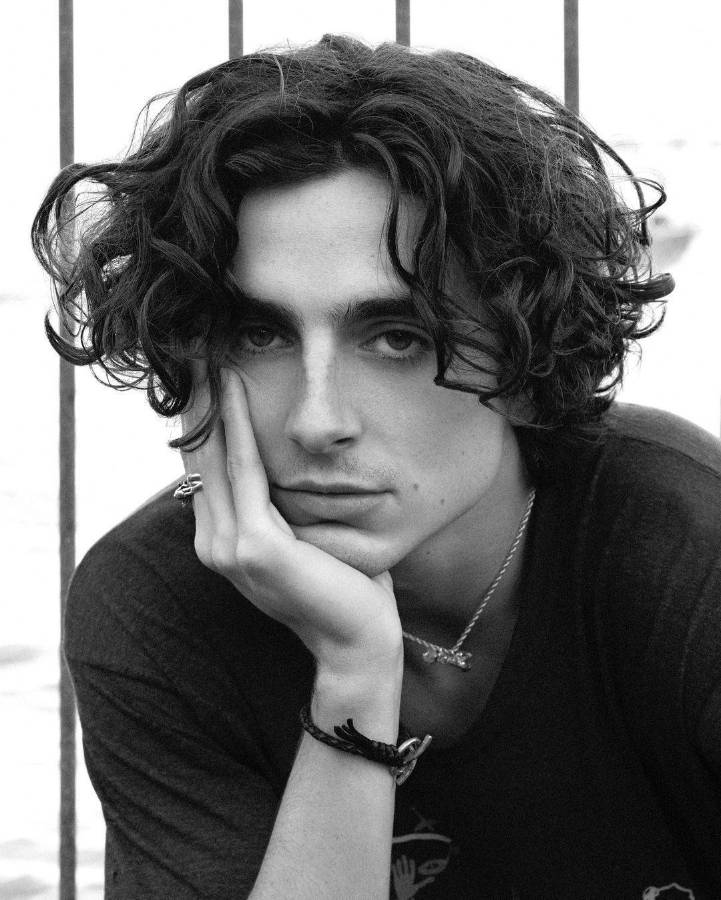 Timothée Chalamet.