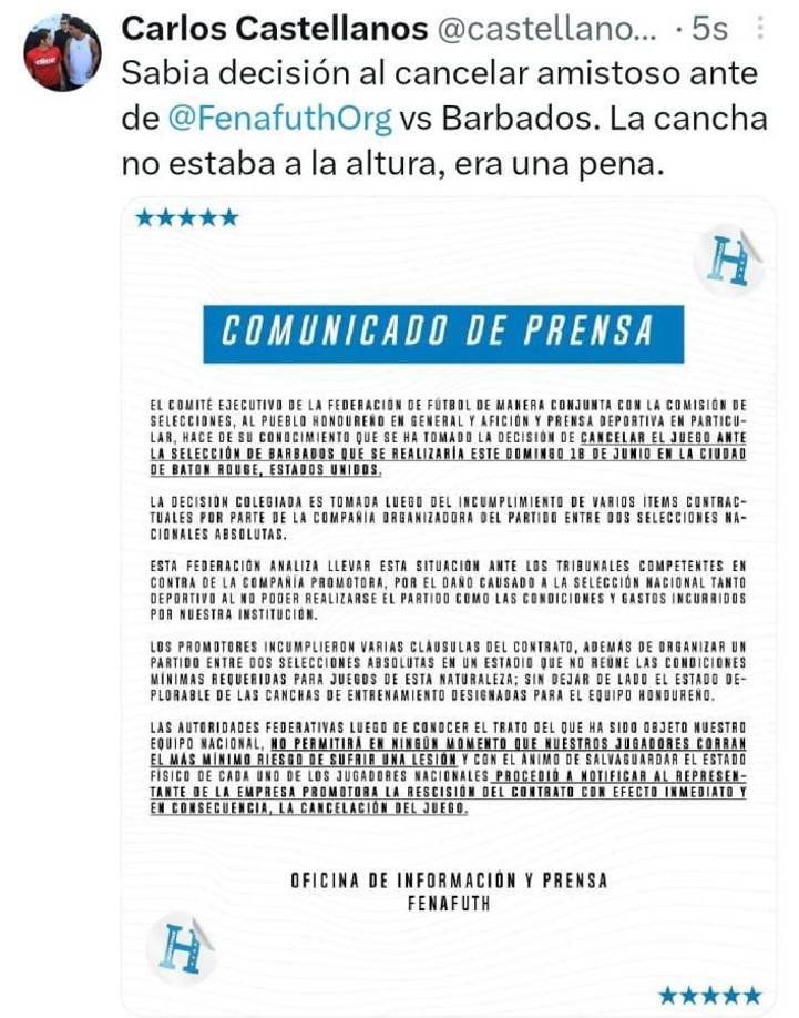 Carlos Castellanos, periodista de Diario Diez, consideró que es la mejor decisión que se pudo tomar al ver la situación del terreno de juego.
