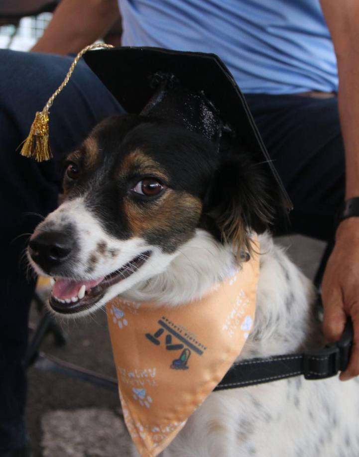 La alcaldía de Tlalpan, méxico compartió la alegre noticia de que preparó a 20 héroes que ayudarán en la seguridad del municipio en caso de una emergencia.