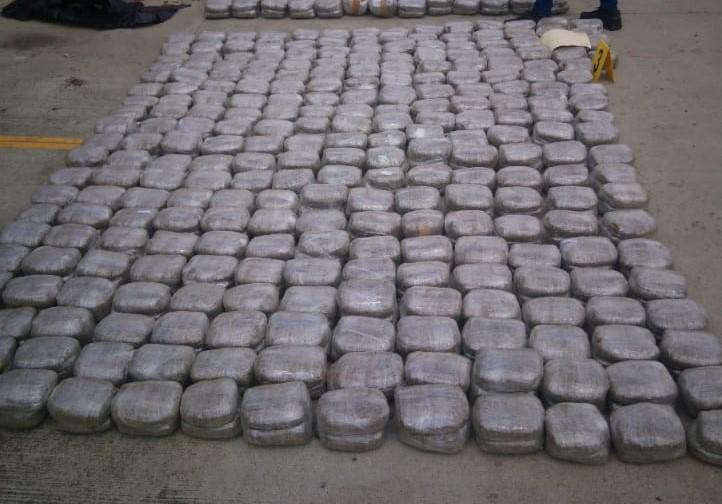 Paquetes de marihuana que les decomisó a los tres sujetos condenados a prisión por tráfico de drogas.