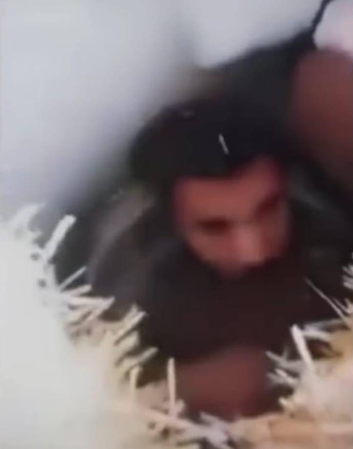 Durante su cautiverio, Omar relató una historia increíble a sus salvadores. 