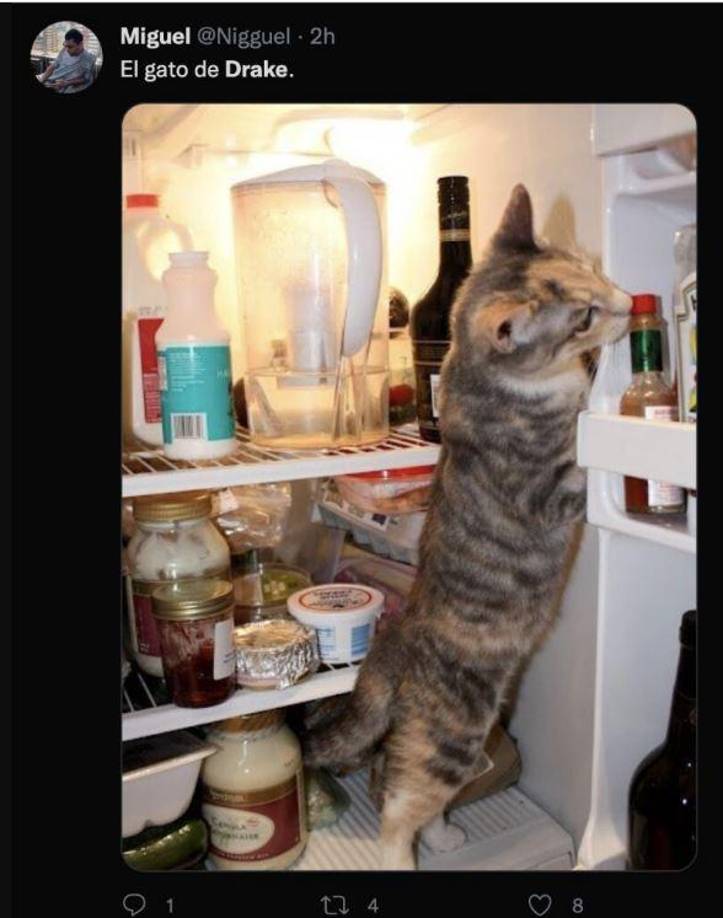 Otros se preguntan si lo que hizo Drake estuvo bien.