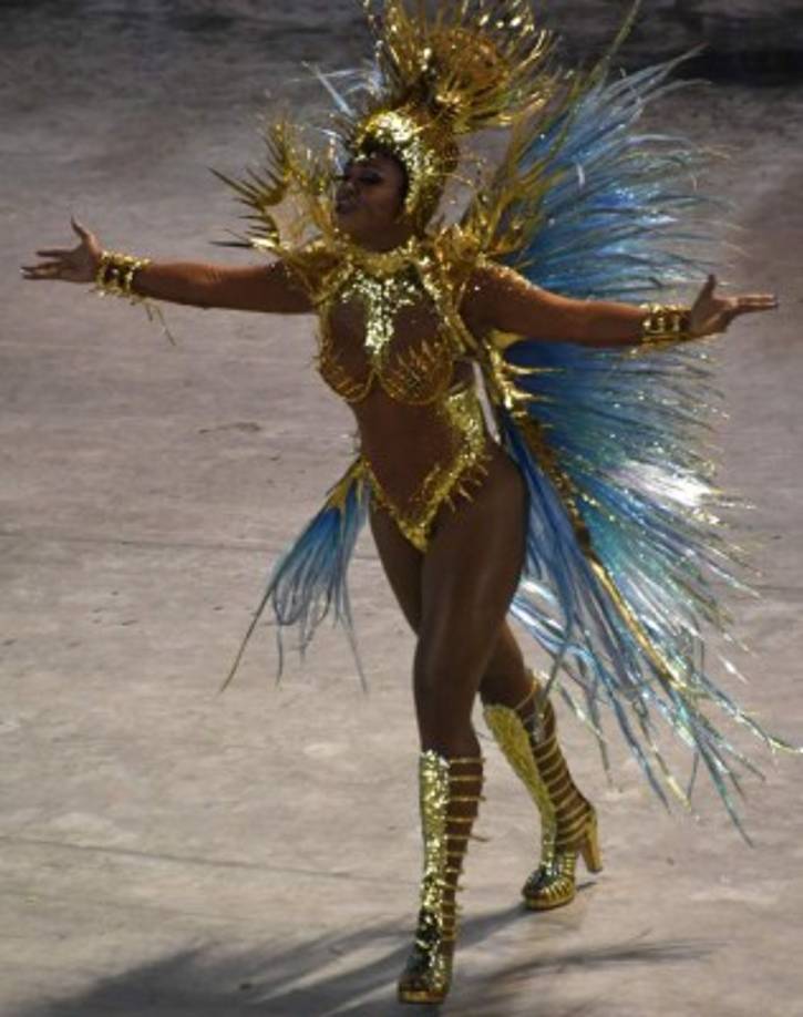 Lo que hace único al Carnaval de Río es que las escuelas presentan diferentes temas cada año. Además, no se repite disfraz ni número alguno, de modo que se convierte en uno de los mejores espectáculos existentes.