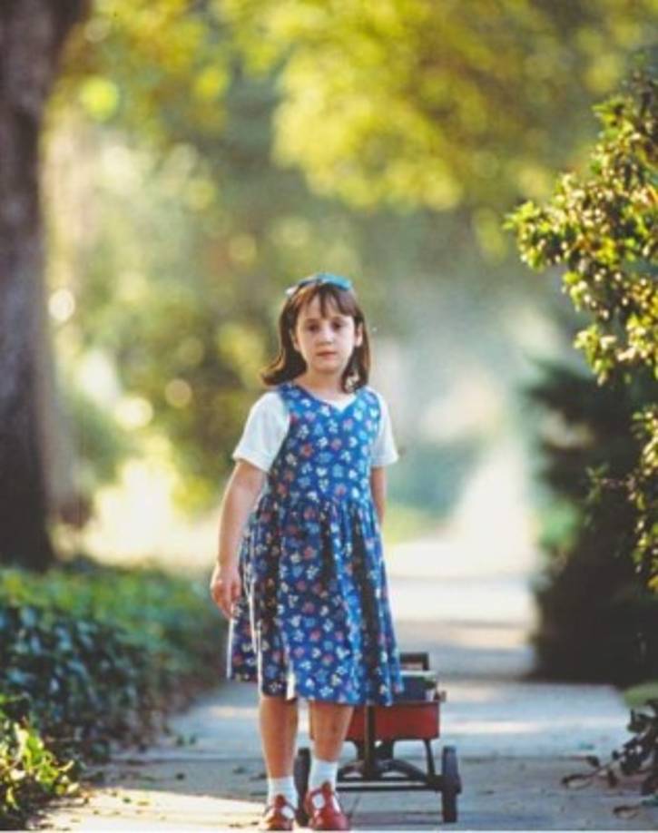 La película recaudó más de 62 millones 98 mil dólares, con un presupuesto de 36 millones de dólares.