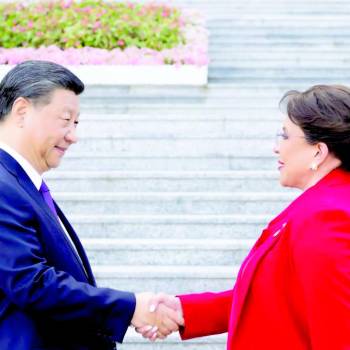 Sectores afirman que es importante proteger inversión. Gobierno acepta que relación con el gigante asiático no ha sido lo esperado, ya que lo que ellos buscan con el TLC, no es lo esperado