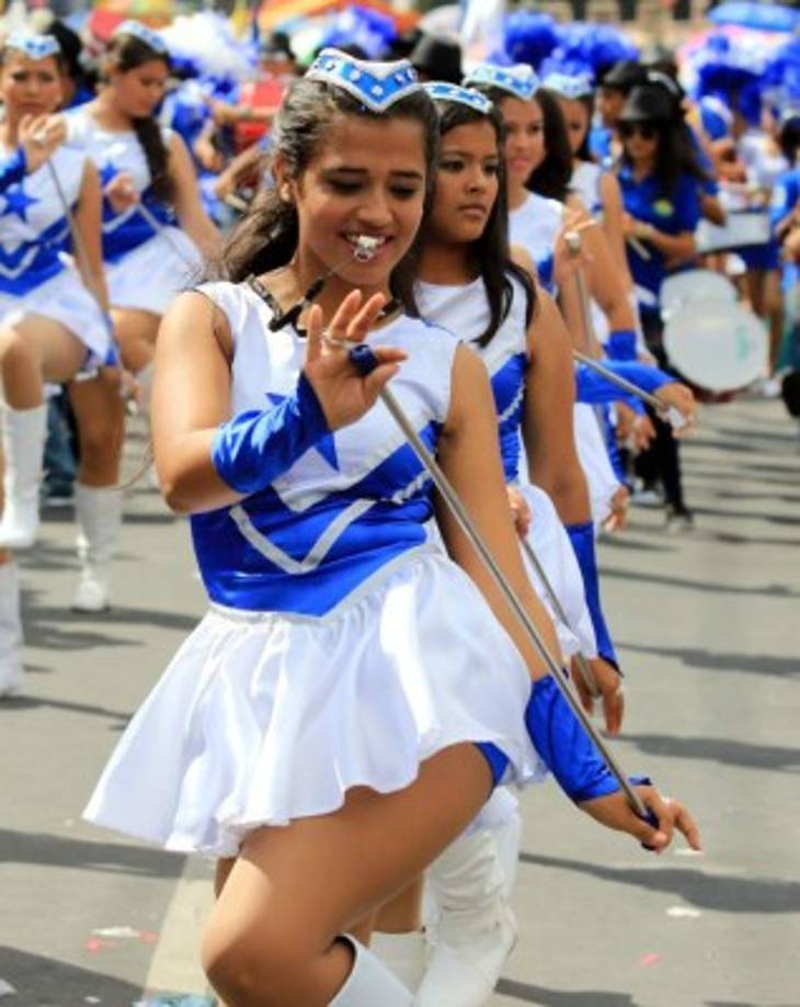 Esta palillona luce un traje azul y blanco.