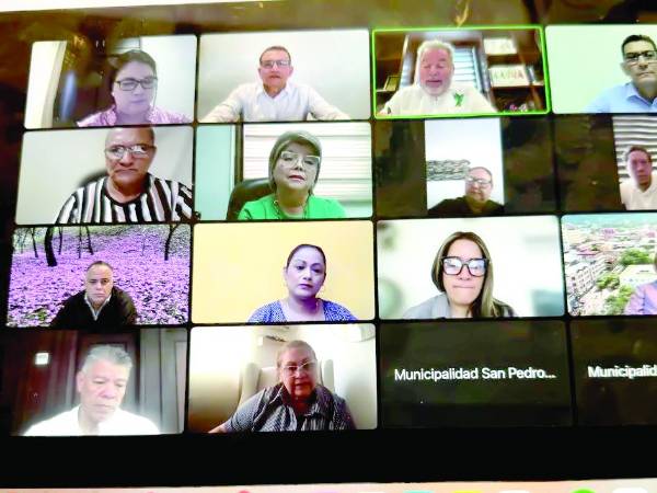 <b>La sesión se realizó por Zoom, una modalidad de la actual Corporación Municipal.</b>