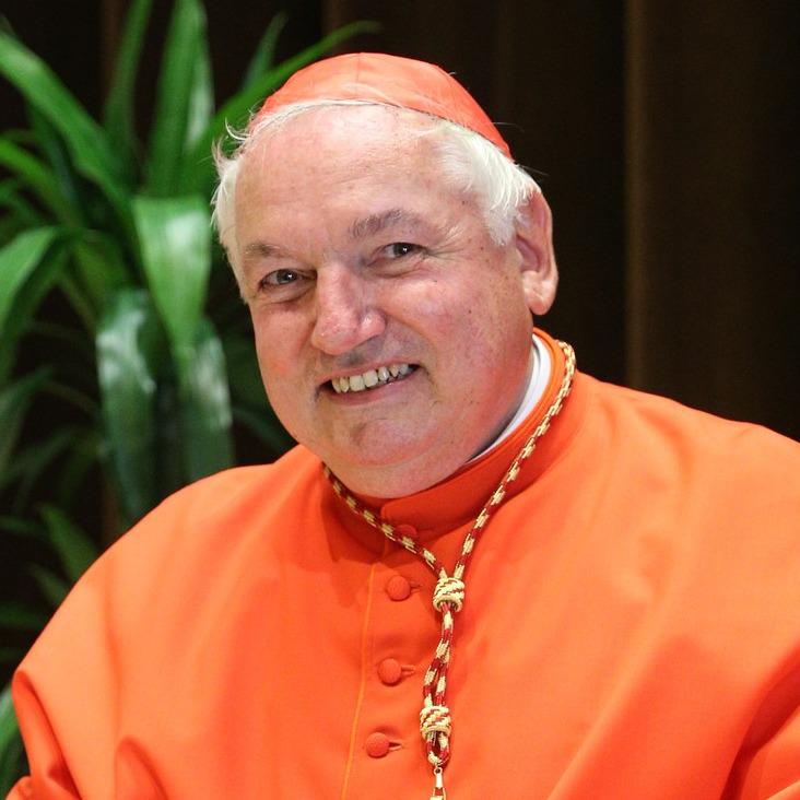 Aveline, el cardenal que podría continuar el legado de Francisco