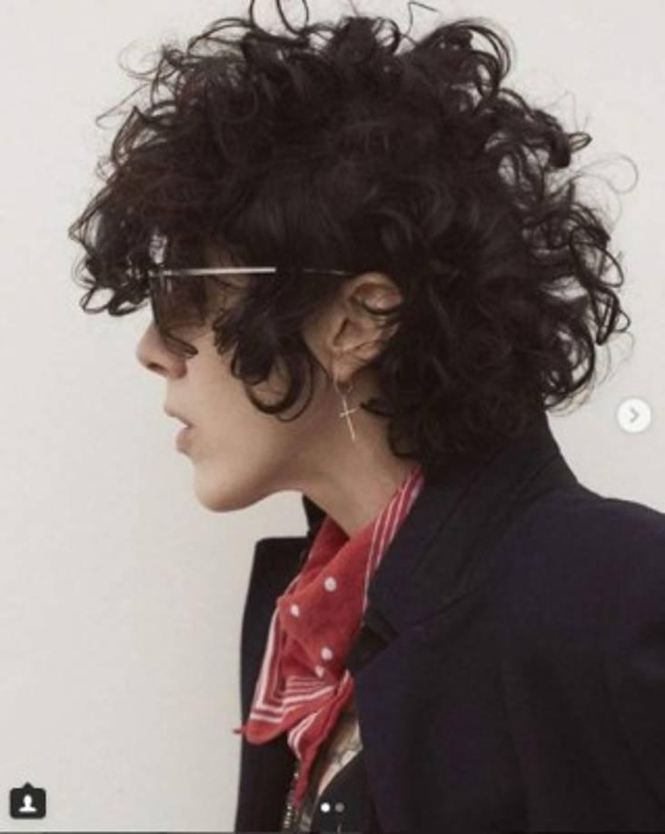 Entre las influencias musicales de LP, están: Jeff Buckley, Kurt Cobain, Chris Cornell, Chrissie Hynde, Joni Mitchell, Jim Morrison, Robert Plant, Jay-Z, entre otros.