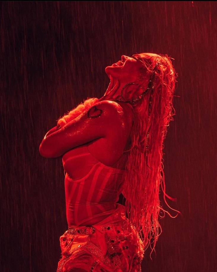 En su última presentación en Dalla, Texas, La Bichota realizó un detalle que rápidamente se volvió viral en redes sociales, Como es costumbre la cantante siempre sorprende a sus fans en todas sus presentaciones. 