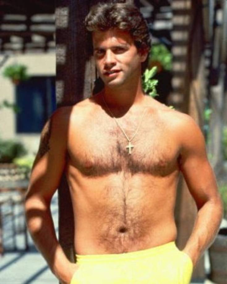 Lorenzo Lamas es un actor de cine y televisión estadounidense que durante las décadas de los 70 y 80 impactó por su perfil de seductor latino.