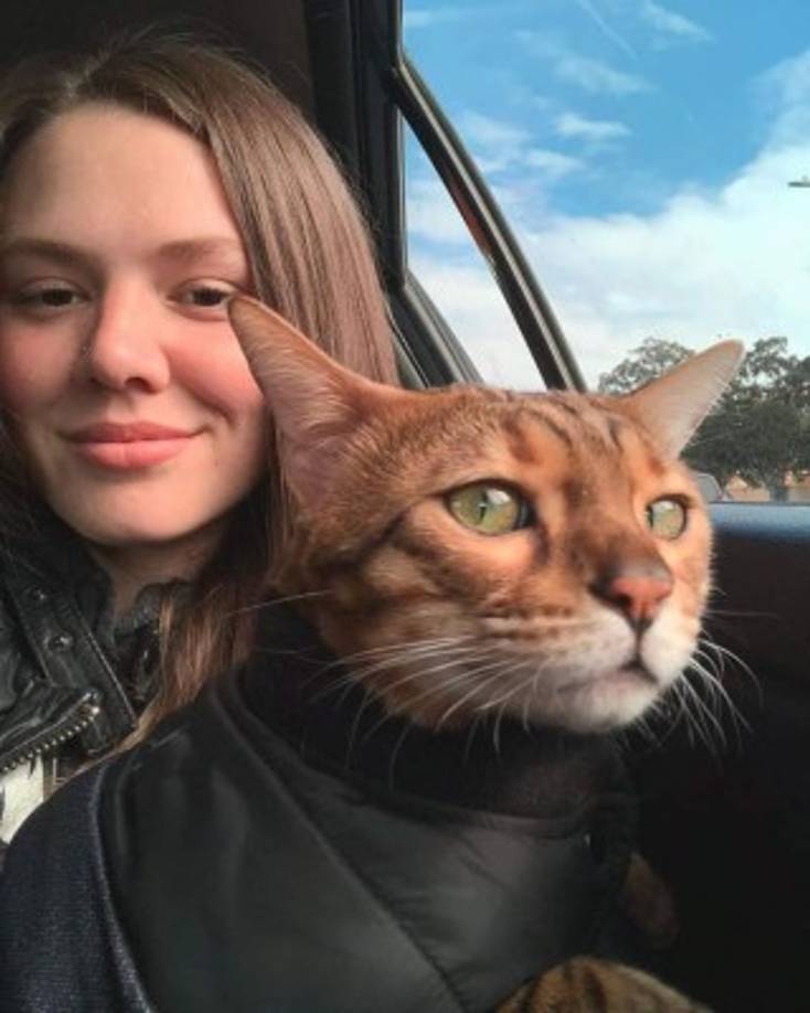 A Huerta no se le ha conocido públicamente una pareja.<br/>