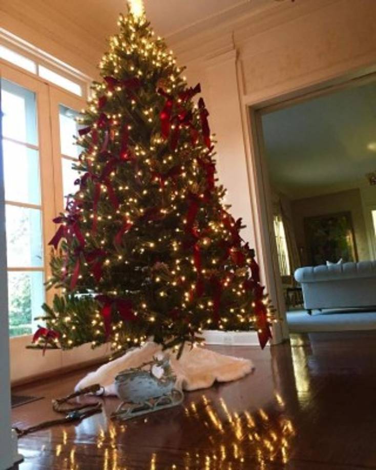 La actriz Catherine Zeta-Jones y su árbol.